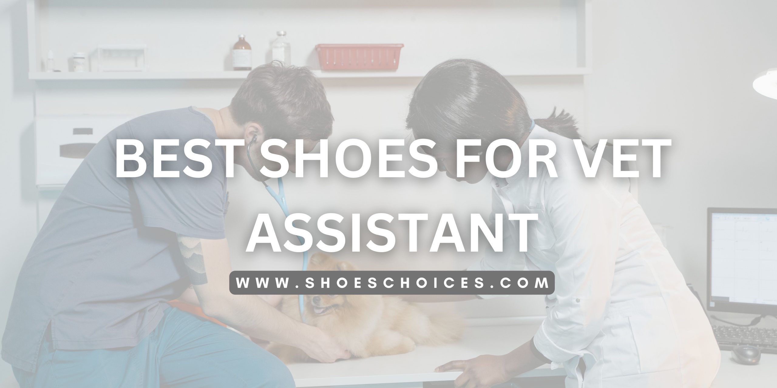 Best Shoes For Vet Assistant