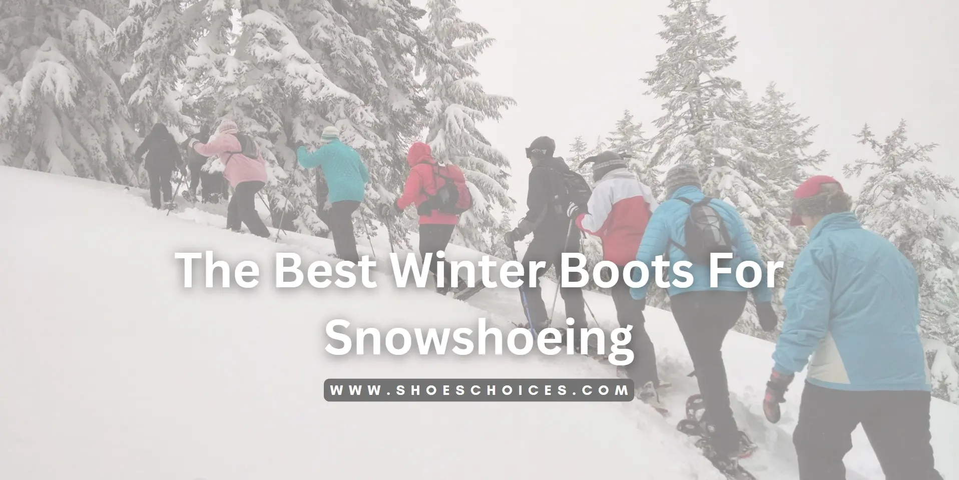 Best Winter Boots For Snowshoeing